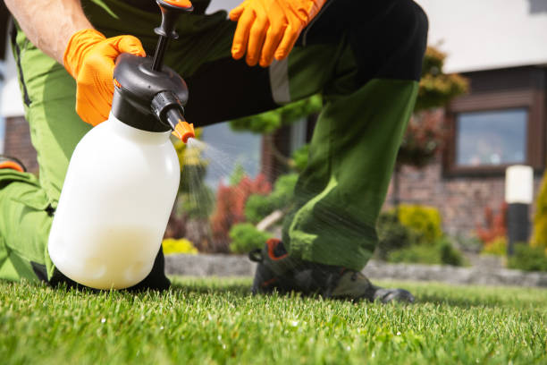 Best Cockroach Control Services  in Fort Stockton, TX