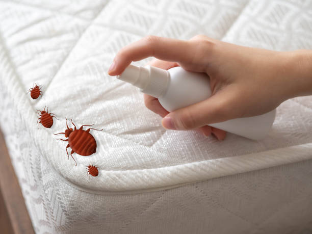 Best Bed Bug Extermination  in Fort Stockton, TX
