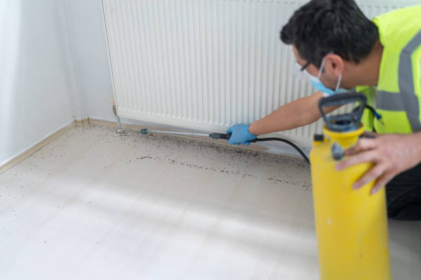 Best Wasp Removal Services  in Fort Stockton, TX